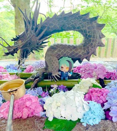 「はなちょうず」
花手水、とかくみたいです　あじさいのおはな　とてもきれいでした！
かっこいい　りゅうさんと　いっしょにぱしゃり