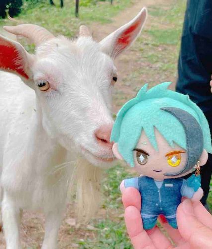 「やぎさん」
くんくん　どきどき　です　ぬ〜…