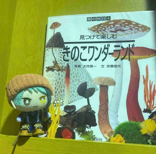 「かいめい」
さて…監督生のみなさん！キノコステッドワンダーランドに改名するときが来たようですぬ…！（ジェぬいは本気のご様子）