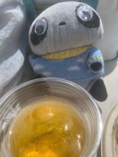 可愛すぎるたれれ「私もお茶飲みたい」