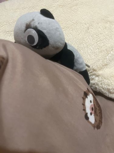 お布団に飛びつくたれちゃん「待ってたよー」