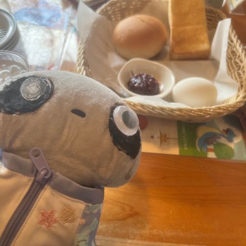 目玉が片方外れて治療をしてもらうたれぼっとくん。朝はコメダ珈琲店のモーニング。みんなお気に入り。
