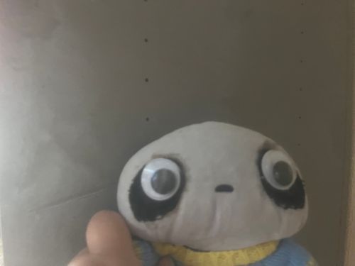 光と影