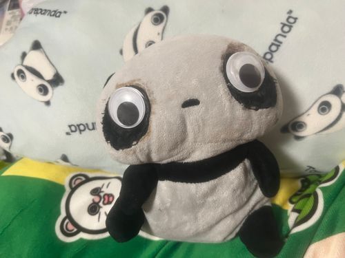 お家に帰ってきて一休み。