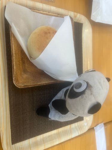 ベーグル🥯を頂くももちゃん🍑