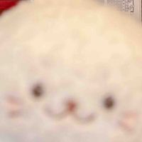 きゅ