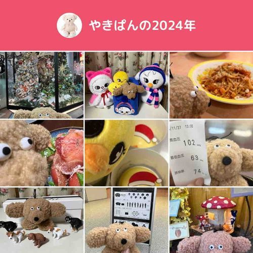 突然始まったぬいとの日々

うちのぬいにも
ここの世界の
たくさんのぬいさんにも
癒されて楽しかったな

来年も
ぬいーズといろんな景色や
美味しいものを楽しもう