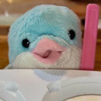 ぬい達の記録
