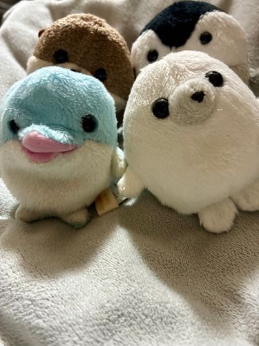 なんと…………❓