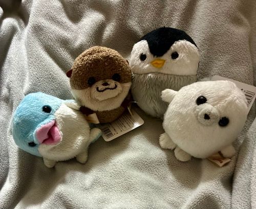 \ﾊﾟｶｯ!/新しい子が来たよ！