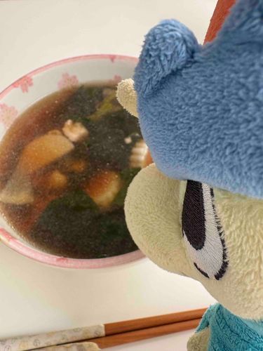 あけましておめでとうございます！
ケルディオです！
みんなでお雑煮を食べたよー
今年もよろしくお願いします！