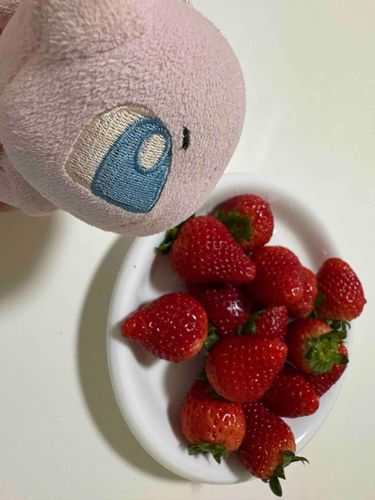ミュウだよ！
今年初のいちごー！
甘くて美味しかったよ！
