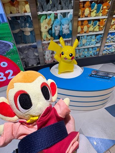 こんばんは！ヒコだよ！
今日は、主とお出かけ！
まずは、ポケモンセンターサテライト！
新しくできたポケセンに行ってきたよー！
ポケモンたちがたくさんいて楽しかったよ！