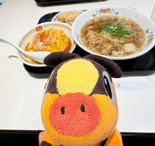 そのあとは、主のお母さんと餃子の王将に行って、ご飯食べたよ！
食べたいのあったけど、はランチが美味しそうでランチにしちゃった！
天津飯、ご飯がたくさん入っててお腹いっぱい！
ラーメンと唐揚げも美味しかったよ！