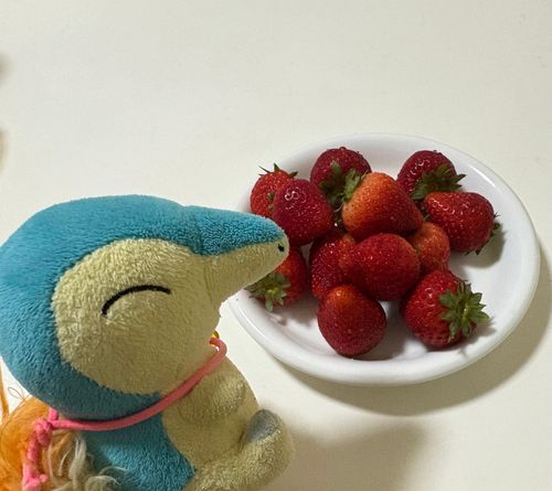 いちご食べちゃった！