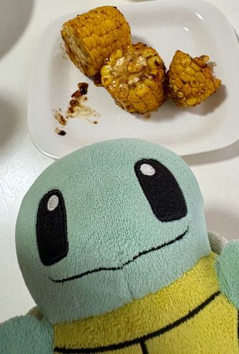 こんばんは！ゼニガメだぜ！
今日主がご飯作ってくれたんだー！
副菜でとうもろこし焼いてくれた！
いつもレンジで茹でるやつだから新鮮！
甘くて旨しだったぜ！