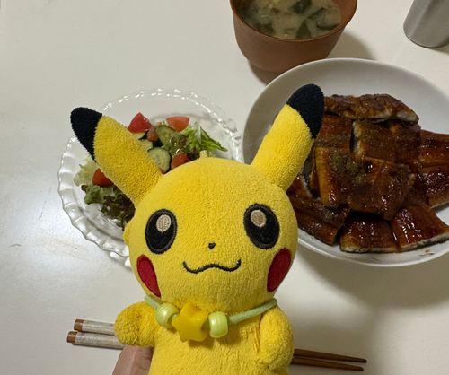 今日の夜ご飯は主のお母さんが買ってきてくれたうなぎ！
おいしかった〜！
