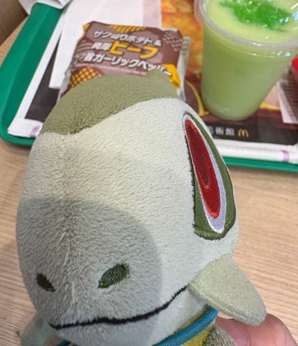 こんばんは！キバキバだよー！
今日は、主とお母さんとマックに行ってきたよ！
期間限定のやつ食べてきた！
お肉しっかり、噛むとポテトと一緒にジュワ〜ってなって美味しかったよ！
マスカットのスムージーも上のゼリーがプルプルで美味しかったよ！