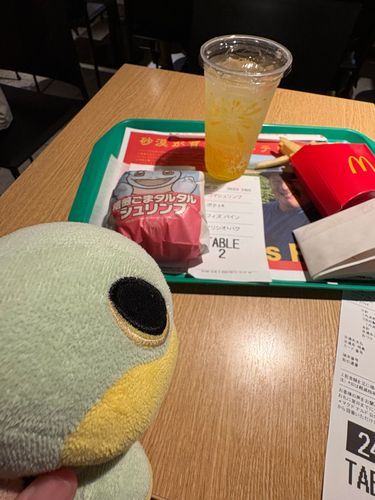ナエナエだよ〜！
スタンプラリーが終わった後は、みんなでマック！
ポケモンバーガーは水タイプを選んだよ〜！
エビがぷりぷりで美味しかった！
ポテトものり塩味にシャカシャカして食べたんだ！
飲み物は、パイン味のシュワシュワするジュース！
さっぱりで美味しい！