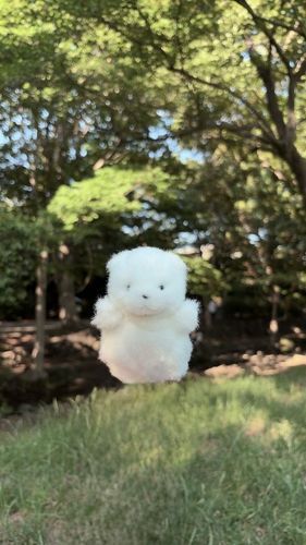 木々の中 ふわり