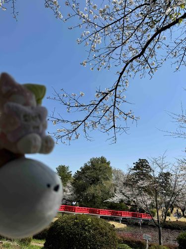 おはなみ〜！
あついところは苦手だから
日陰でお写真とったよ！
お顔くらくなっちゃったけどたのしかった〜！