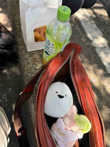 おでかけしたよー！
おから豆乳どーなつがとっても美味しかった！🍩