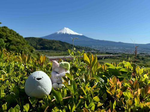 きれいな富士山をバックに記念撮影！
今日はおでかけ日和だね！