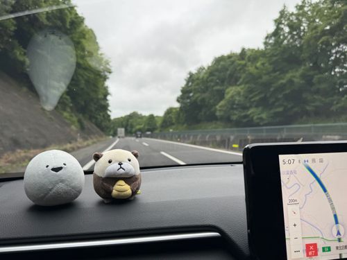 おともだちのラッコさんとおでかけ中！