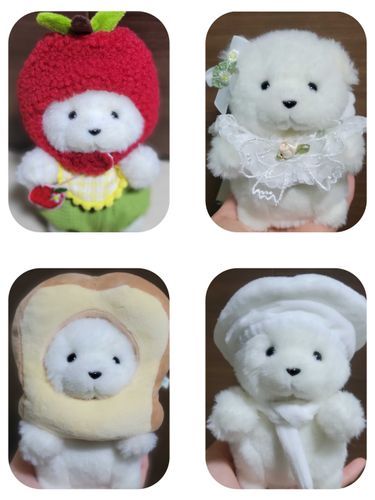 🐻‍❄️