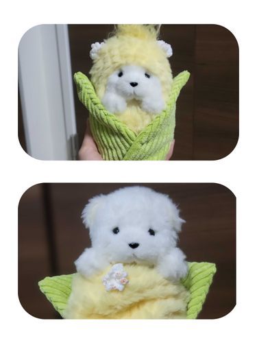 🐻‍❄️🌽