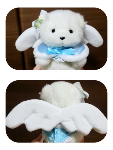 🐻‍❄️❄