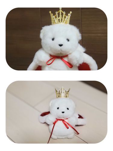 🐻‍❄️👑