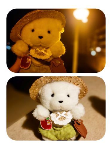 🐻‍❄️👒