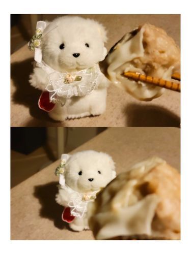 🐻‍❄️💭🍴