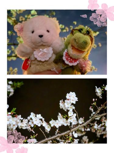 🐻‍❄️🌸🐊