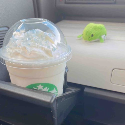 🐸コレが ウワサの "すたば"…。しろくて あおい キラキラ のって キレイﾁｬ！