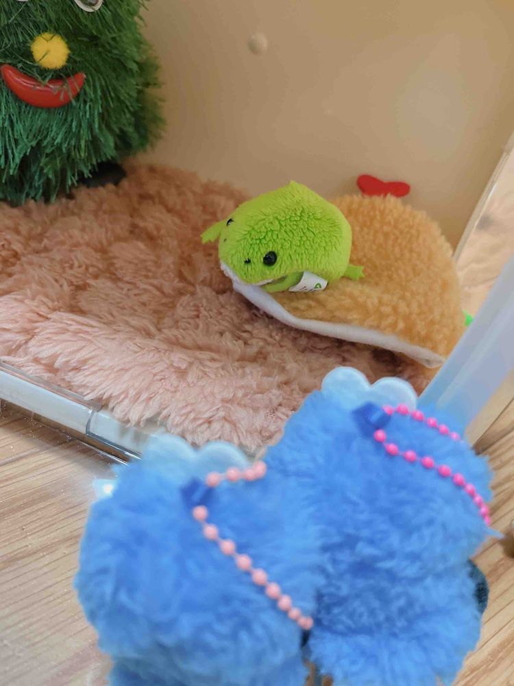 🐸…ア！！！！！ぱぺとすんすん？！！