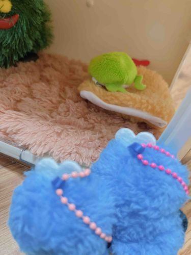 🐸…ア！！！！！ぱぺとすんすん？！！