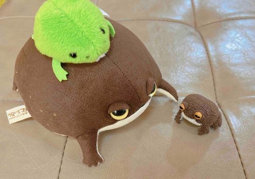 🐸きのうは シャンプーされた おかげで フサフサなっﾁｬ！ジブン キレイﾁｬ？
そして きょうは あたらし オトモダチ きﾁｬ！ナマエ "むしぱん" だって。ウマそうﾁｬ！ナカヨクするﾁｬ！