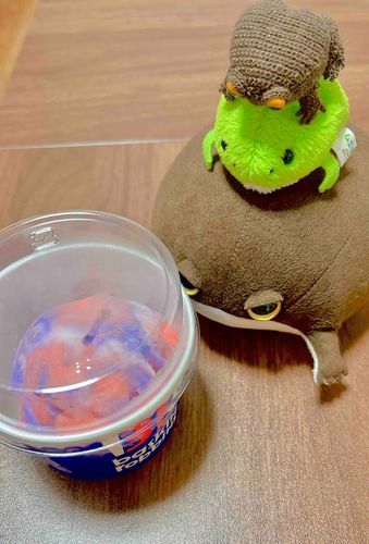 🐸きょうは カイヌシの かぞくが "オタンジョビ" だっﾁｬから あいすぱーてぃしﾁｬ！めでたいﾁｬ！コレカラも げんきにそだつﾁｬ！