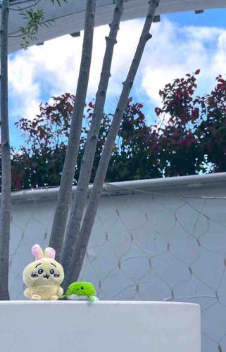 🐸きょう テンキよかっﾁｬカラ ちょとダケ おでかけ！カイヌシの "推シ"の うさぎも イッショﾁｬ！でも いくら テンキよくても "まふゆ"の てらすせき さむすぎﾁｬ！
