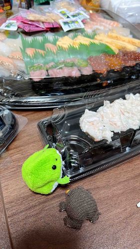 🐸きょうは "くりすます"！カイヌシは ちきんより スシ いったくﾁｬ！おーとろないケド がまんしてやるﾁｬ！