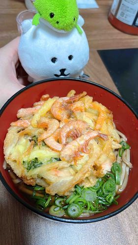 🐸こいつが "としこしソバ"…！かきあげ チョット でかすぎﾁｬ！