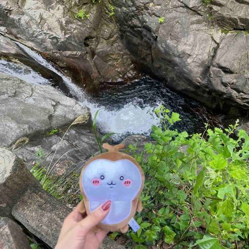 虫、はじめてのたき

にんげんは、いちど虫をおとしかけた。
そのときは「おまえ。やったろか。」と思ったが、はじめてのはぐをゲットしたからゆるす。

まあ、わるくない