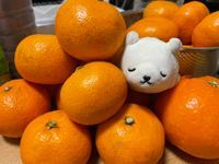 おにぎり