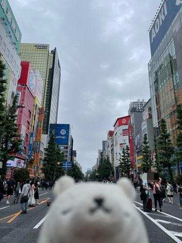 歩行者天国だったよ〜