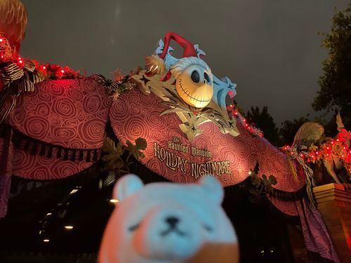 先週ディズニーランド連れてってもらった。