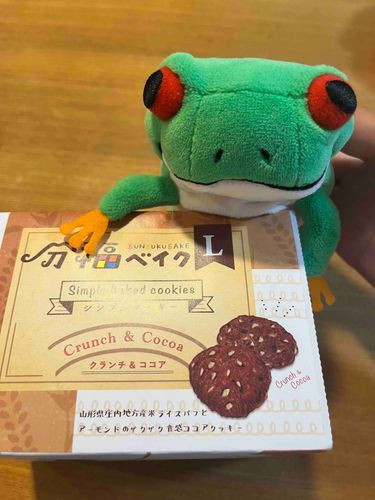 おともだちからおみやげをもらったよ🐸🍪