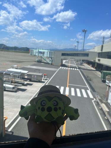 高知✌️
