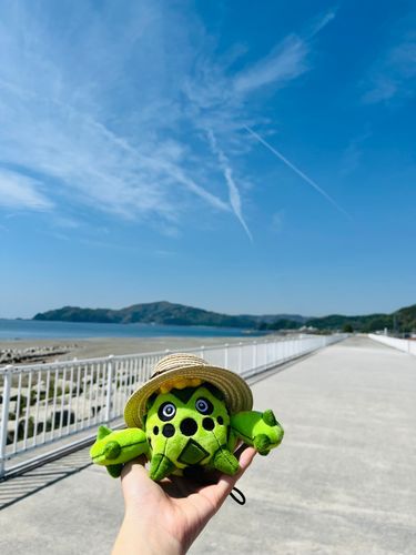 海